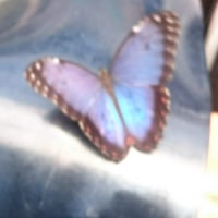 Profile picture of the author