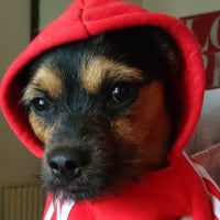 Profile picture of the author