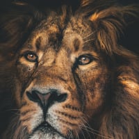 Profile picture of the author