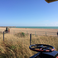 Profile picture of the author