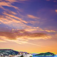 Profile picture of the author