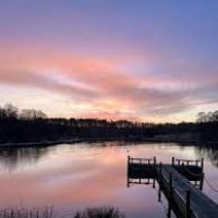 Profile picture of the author