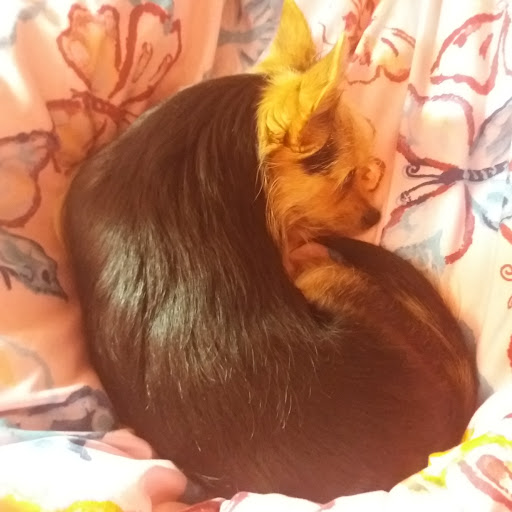 Profile picture of the author